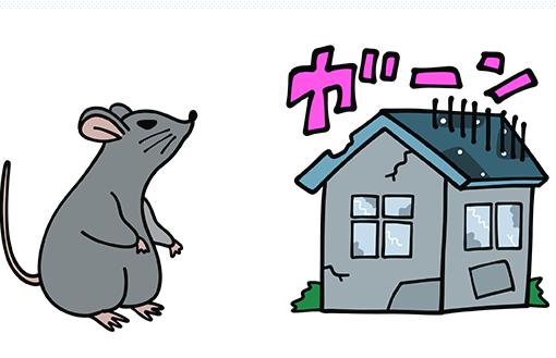一戸建てのネズミ